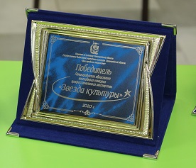 Вручены награды победителям регионального конкурса профессионального мастерства «Звезда культуры»